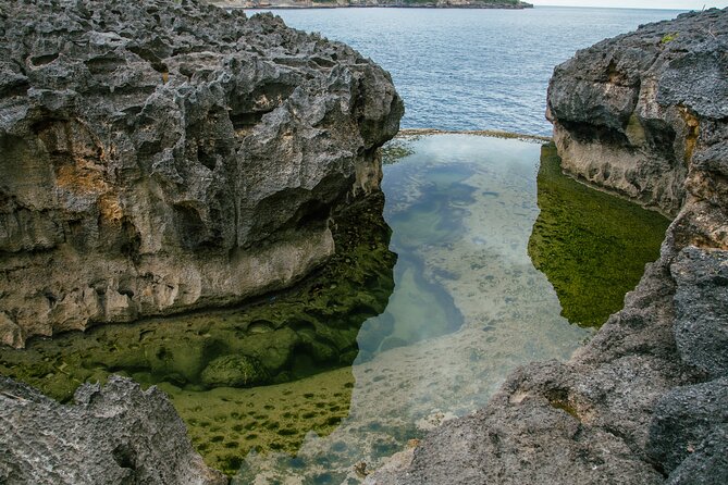 Nusa Penida One Day Trip to Instagrammable Spot by Penidago - Why this Nusa Penida day trip works