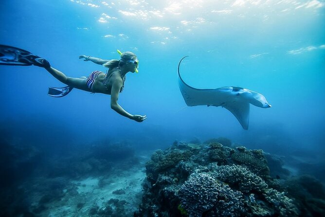 Nusa Penida Private Snorkeling and West Tour Start from Bali - Manta Bay, Crystal Bay, and Gamat Bay
