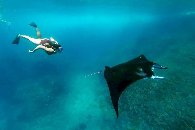 Nusa Penida Snorkeling 3 Point with Manta Bay & Land Tour - What this Nusa Penida day is really trying to do