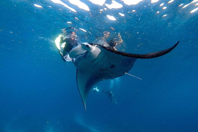 Nusa Penida Snorkeling Adventure (Private & All-Inclusive) - What the $129 price really covers