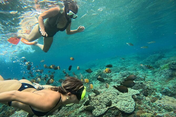 Nusa Penida : Snorkeling Trip Manta Point, Gamat Bay and Wall Bay - Three snorkel sites in one compact morning