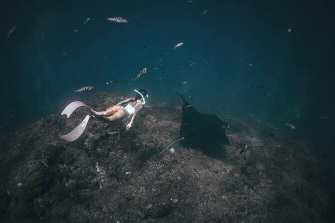 Nusa Penida : Snorkeling Trip Manta Point, Gamat Bay and Wall Bay - Equipment, guide support, and the practical setup