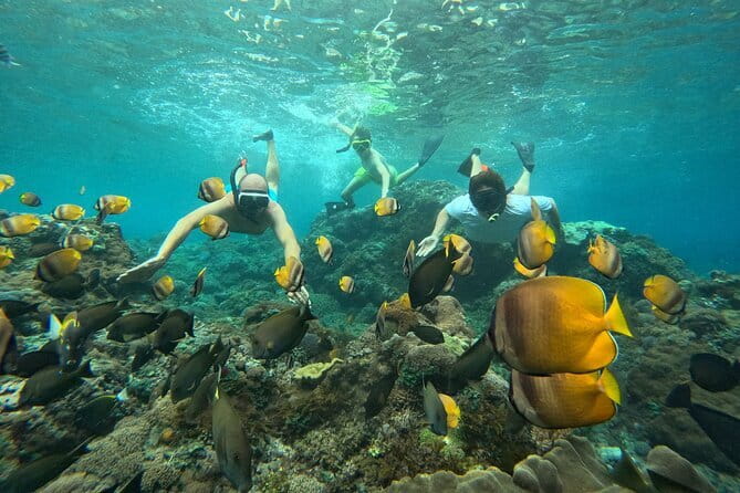 Nusa Penida : Snorkeling Trip Manta Point, Gamat Bay and Wall Bay - Manta Point and the luck of the morning