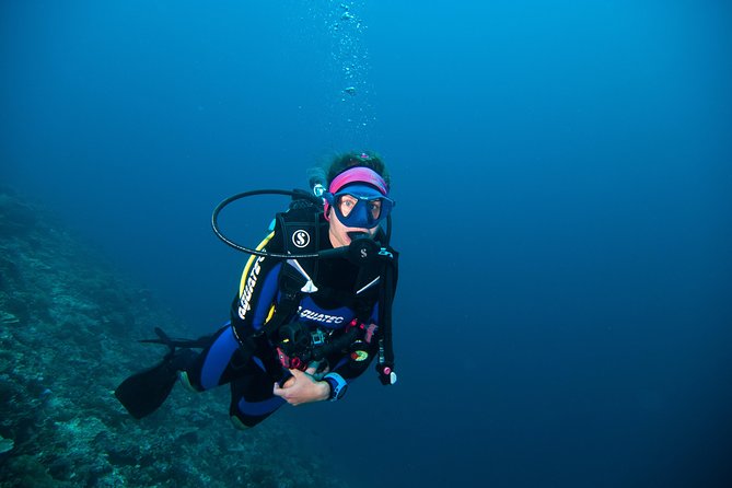 Nusa Penida Three Dives Trip for Certified Divers - Choosing between Manta Point and East Penida