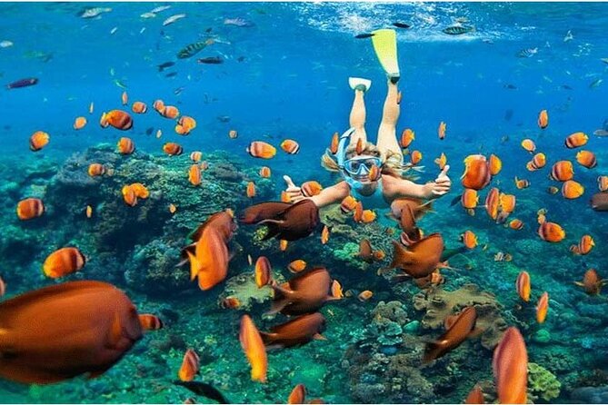 Nusa Penida Trip with Snorkeling all-Inclusive - Key points at a glance