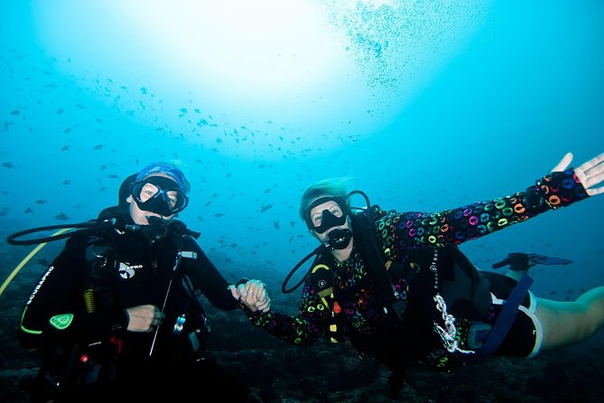 Nusa Penida Try Scuba Diving Program - for Non-Certified Divers - Why Nusa Penida Is a Good Place to Start