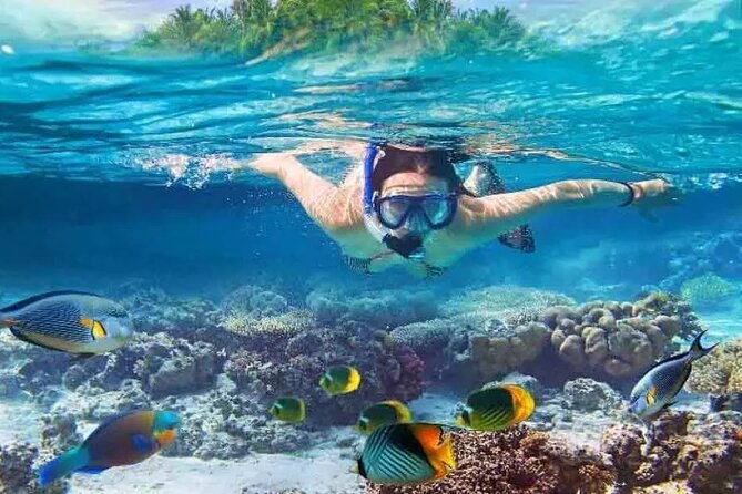 Nusa Penida West trip with snorkeling at 3 spot with Free Meals - Key points to know before booking
