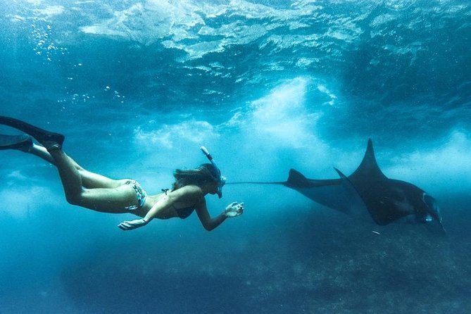 Nusa Penida West trip with snorkeling at 3 spot with Free Meals - What the private format adds