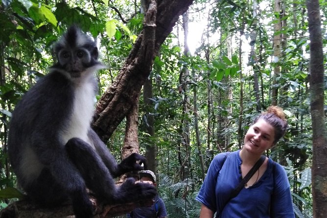 ONE DAY JUNGLE TREKKING 6-7 hours (see orang utan) + RAFTING in BUKIT LAWANG - The guide makes the difference