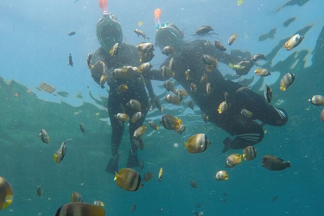 One Day Snorkeling Trip & West Tour Nusa Penida by Penidago - What the guides add to the day