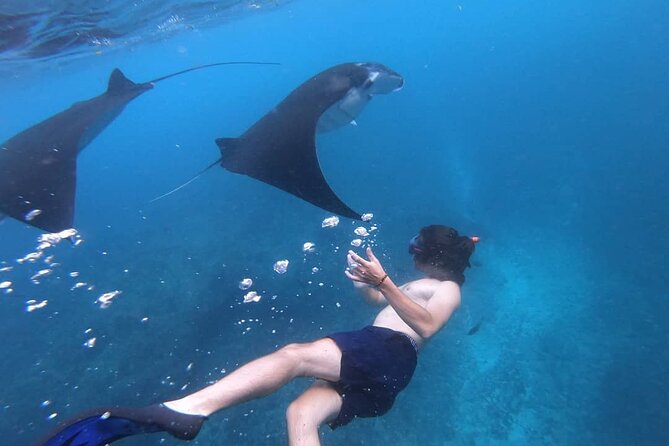 One Day Snorkeling Trip & West Tour Nusa Penida by Penidago - Is $25 good value for Nusa Penida?