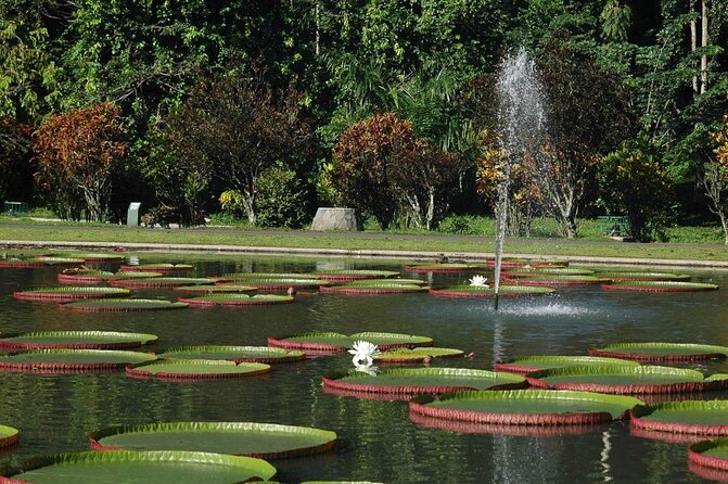 One Day Trip : Bogor Highland Waterfall Tour With Lunch - Who will enjoy this day most