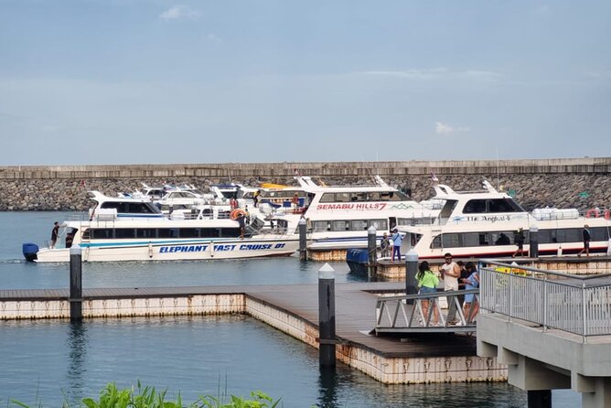 One-way Ticket Fast Boat from Sanur Bali or Nusa Penida - Who will get the most from this ticket
