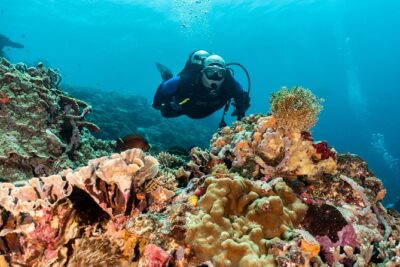 Open Water Course in Pemuteran – Get Certified in Bali