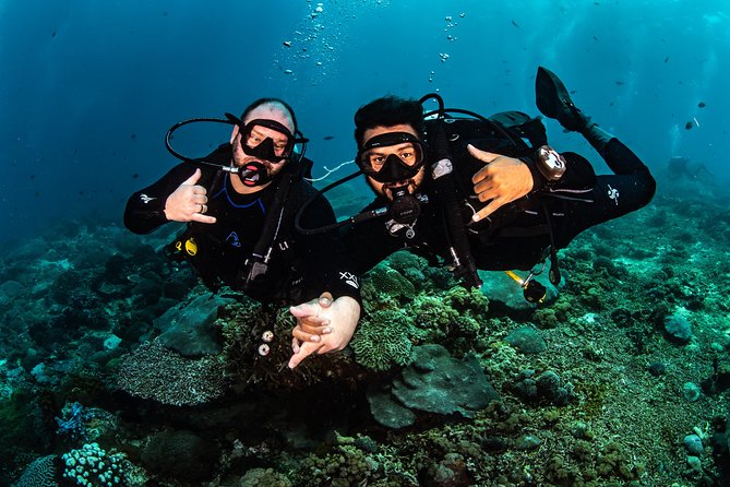 Open Water Course in Tulamben - Get Certified in Bali - Practical details that affect your decision