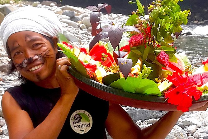 ORANGUTAN TREK (2D/1N) by EcoTravel Bukit Lawang - The timing matters more than many people expect