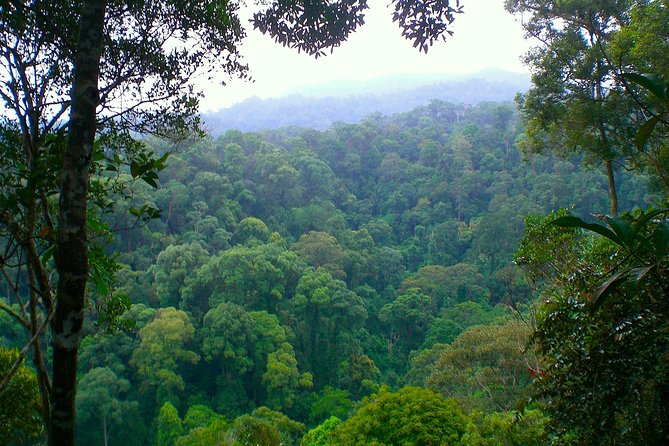 ORANGUTAN TREK (2D/1N) by EcoTravel Bukit Lawang - Fitness, clothing, and the parts you should not underestimate