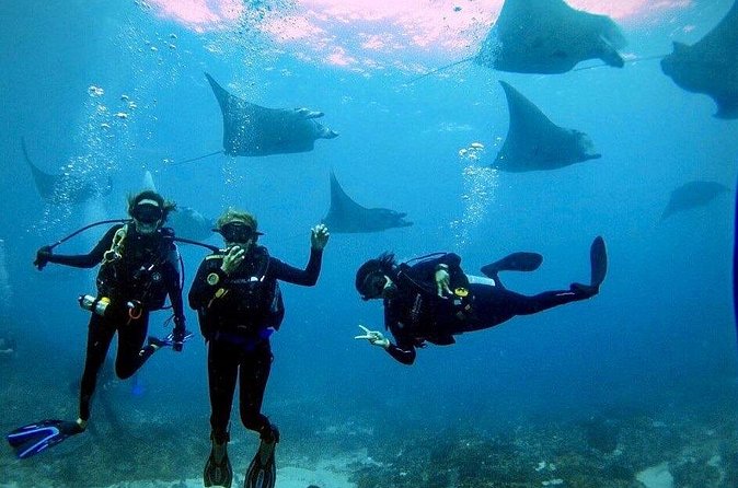 PADI Open water Course in Lembongan - Get certified & dive anywhere in the world - Is $425 a fair price?