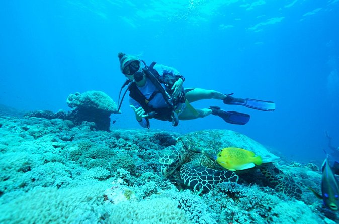 PADI Open water Course in Lembongan - Get certified & dive anywhere in the world - Who should book this course?