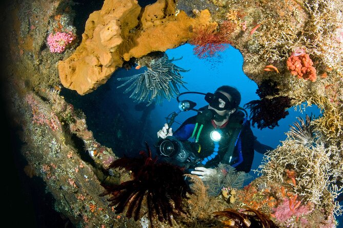 PADI Open water Course in Tulamben - Get certified & dive anywhere in the world - Days two and three: four open-water sessions