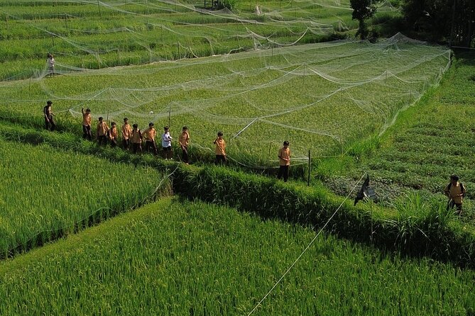 Panorama Walking Tour and Culture, West Lombok - Soft trekking beside rivers and through forest