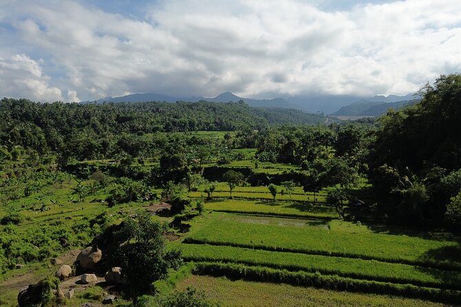Panorama Walking Tour and Culture, West Lombok - Murpeji’s beekeeping and palm sugar traditions