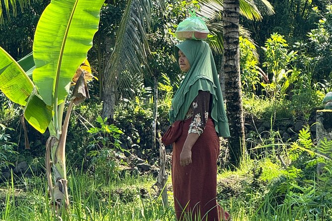 Panorama Walking Tour and Culture, West Lombok - The waterfall is a welcome pause