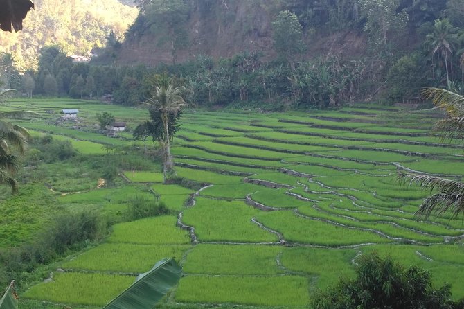 Pauls Flores Tour Labuan Bajo to Ende Flores Land Tour inland by Car 6 Days - What Paul adds to the experience