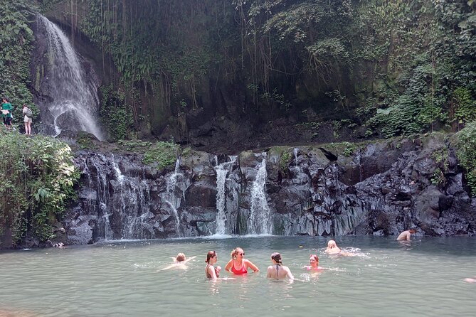 Penglipuran Village Waterfall Swing Private Guided Tour - A full day through Bali’s central highlands