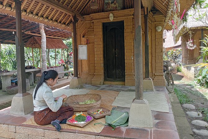 Penglipuran Village Waterfall Swing Private Guided Tour - Sidan Rice Terrace and the Bali swing