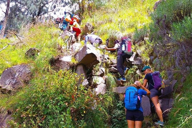 Popular Rinjani Trekking Tour Service To Summit For 2 Days Via Sembalun Trail - Day two: the summit push and descent