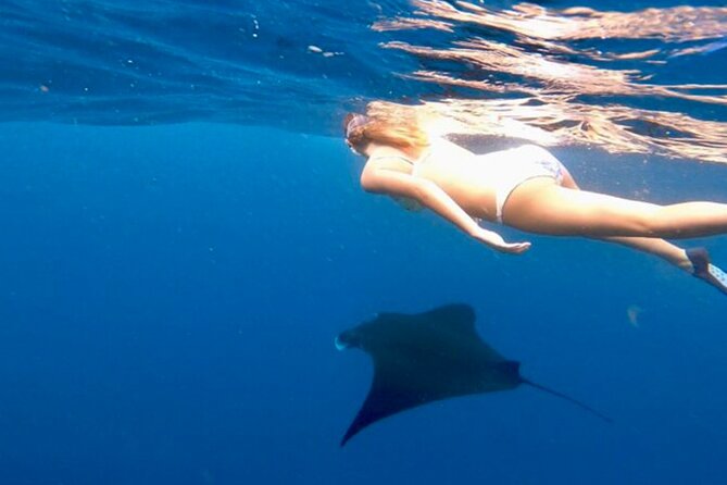 Private All Inclusive Nusa Penida Snorkeling and Tour - Why Manta Point gives this day its purpose
