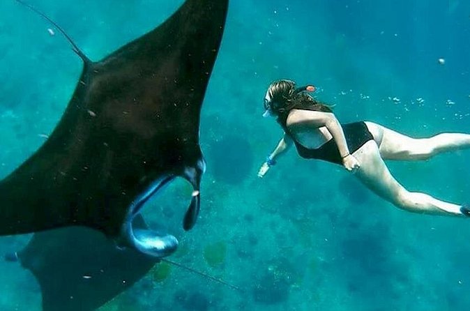 Private All Inclusive Nusa Penida Snorkeling and Tour - Crystal Bay, Angel’s Billabong, and the island’s coastal drama