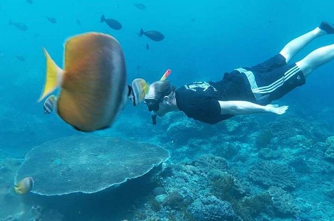 Private All Inclusive Nusa Penida Snorkeling and Tour - Is $128 a good value?