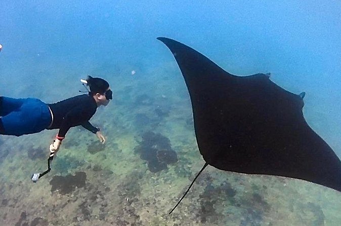 Private All Inclusive Nusa Penida Snorkeling and Tour - Practical advice for making the day easier