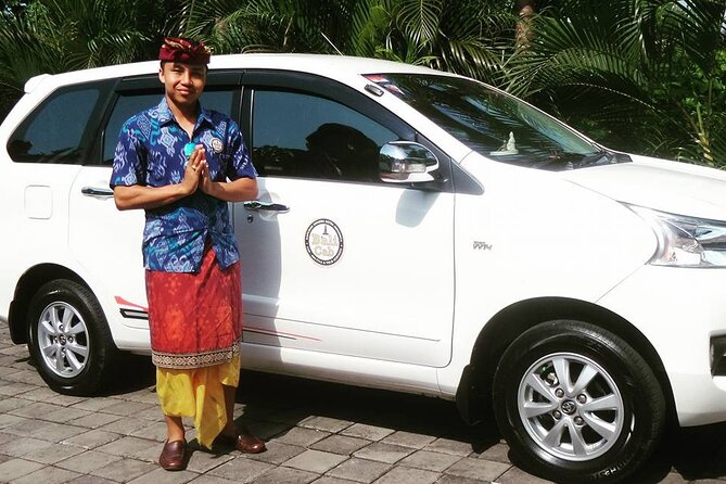 Private Arrival Transfer: Bali Airport to Hotel - Key points at a glance