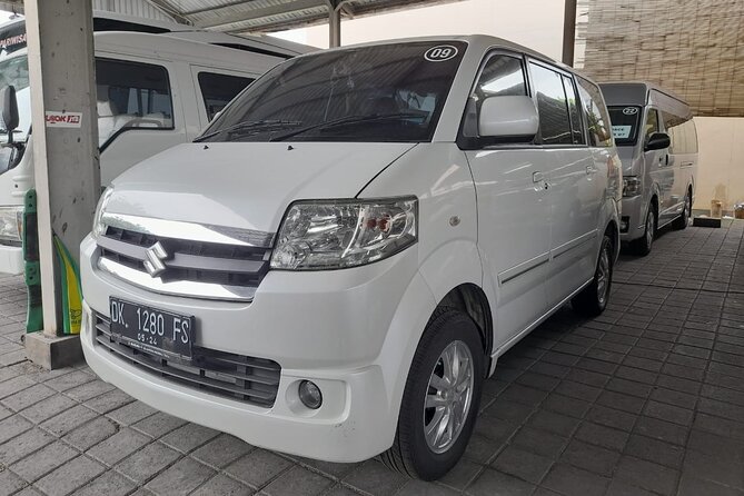 Private Arrival Transfer: Bali Airport to Hotel - Airport waiting time and flight delays