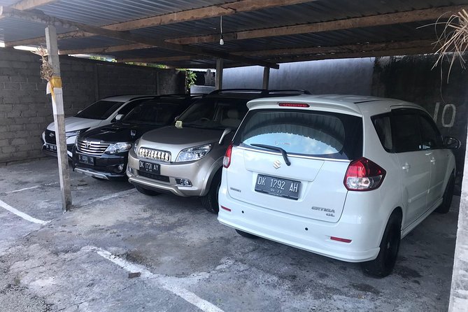 Private Bali Car Charter with Driver up to 6 People - Central Bali: waterfalls, temples, and rice terraces