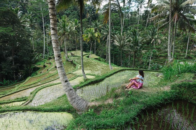 Private Bali Car Charter with Driver up to 6 People - Pickup areas and the practical side of the day