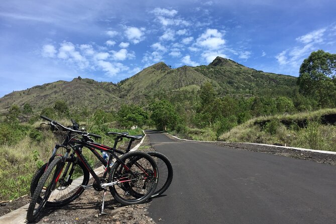 Private Bali Day Tour - Tegalalang - Kintamani and Temple Tour - Lunch With a Kintamani View