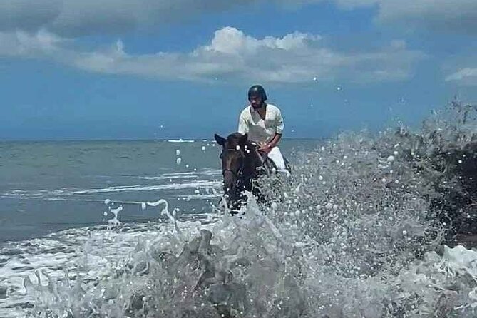Private Bali Horse riding at saba beach - The horses and the animal-care question