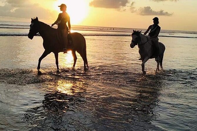 Private Bali Horse riding at saba beach - Is $43.79 good value?