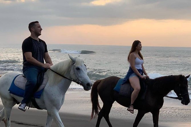 Private Bali Horse Riding In Seminyak Beach - Is $42.99 good value?