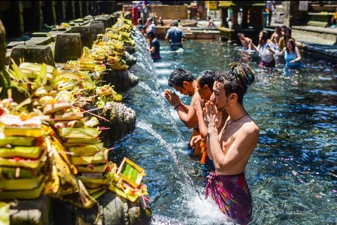 Private Bali Tour - All Inclusive - Sacred Monkey Forest: a lively first stop in Ubud