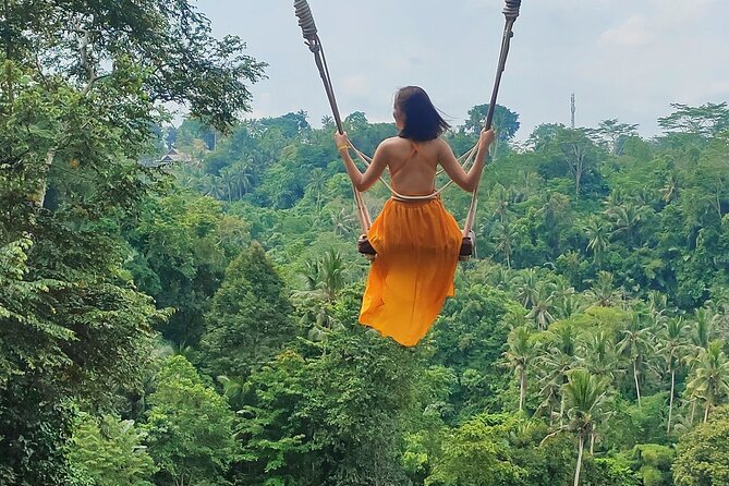 Private Bali Tour with Lisensed Bali Driver - Tirta Empul Temple: the day’s cultural stop