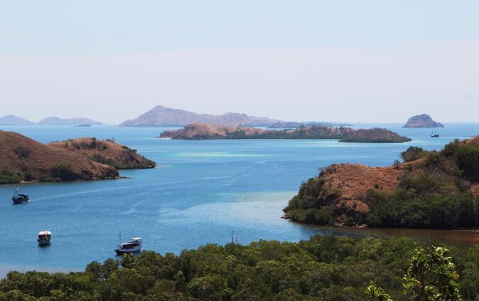 Private boat trip Komodo 2 or more person for 3 days 2 nights, Kelor, Rinca... - Day two: Padar’s famous ridge and Komodo dragons