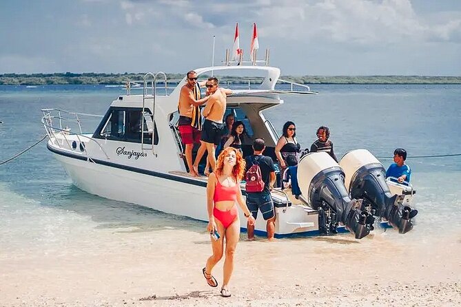 Private Boats in Bali and Nusa Penida - Manta Bay and the reality of wildlife