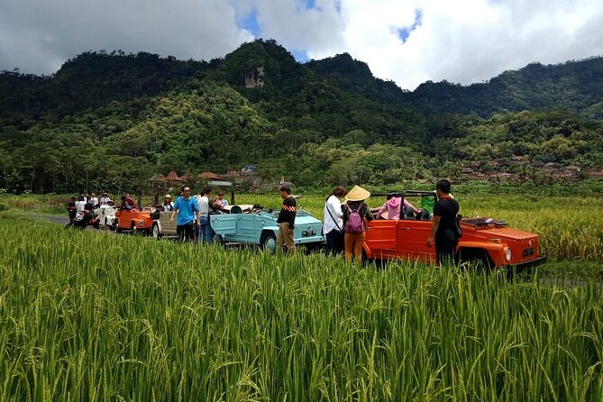 Private Borobudur Village Trip By Volkswagen Safari - Who will enjoy this most?