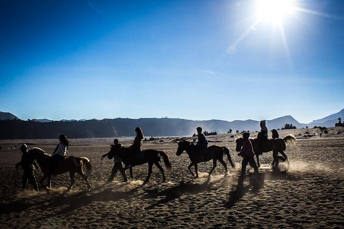 Private Bromo Sunrise Tour (All included) - Whispering Sand and Luhur Temple