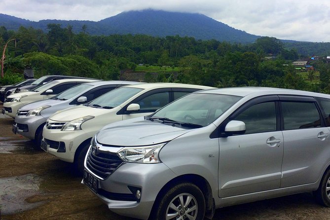 Private Car Charter - Explore Best of Bali - Why a private car works well in Bali